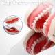 Dental Anti-fog Photographic Mirror
