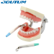 Adjustable Matrix Band System or Pro-Matrix Bands (Disposable)
