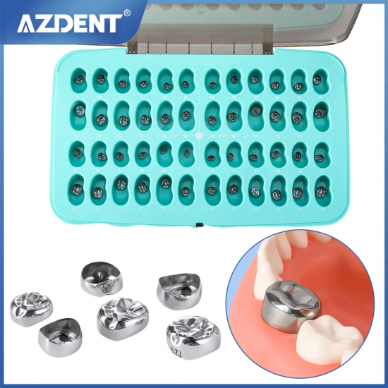 Primary Molar Stainless Steel Crowns