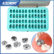 Primary Molar Stainless Steel Crowns