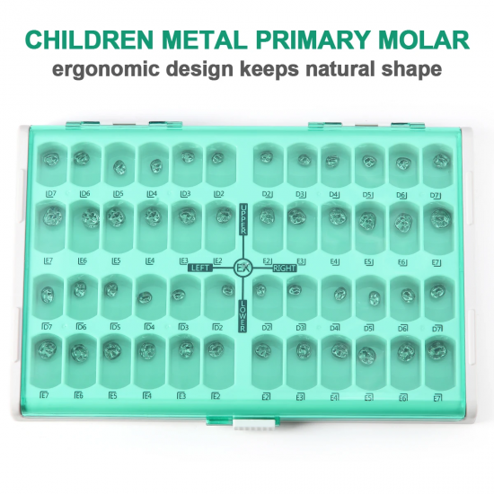 Primary Molar Stainless Steel Crowns Primary Molar Stainless Steel Crowns