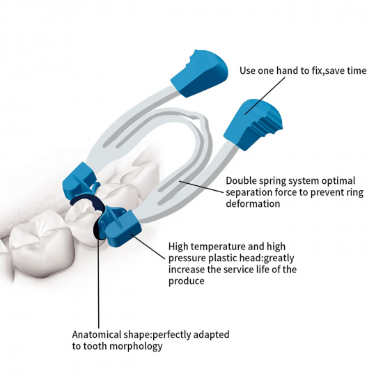 Matrix Ring System