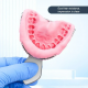 Alginate Impression Material