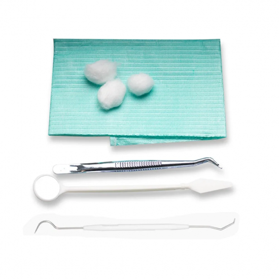 Disposable Dental Instrument Kit 5 Packs Disposable Dental Instrument Kit 5 Packs