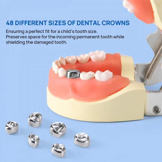 Stainless Steel Crowns Stainless Steel Crowns