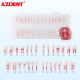 Endodontic Teeth Model 28pcs/set Endodontic Teeth Model 28pcs/set