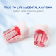 Endodontic Teeth Model 28pcs/set Endodontic Teeth Model 28pcs/set