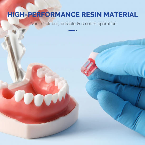 Endodontic Teeth Model 28pcs/set Endodontic Teeth Model 28pcs/set