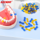 Elastic Wedges Elastic Wedges