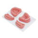 Suture Training Kit