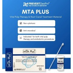 MTA plus MTA plus