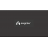 angelus