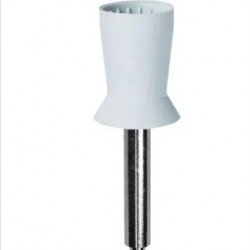 Prophy Cup Prophy Cup