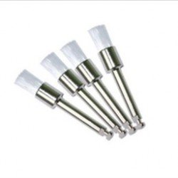 Prophy Brush Prophy Brush