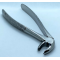 Lower molar forceps