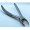 upper right molar forceps