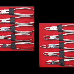 Adult extraction forceps kit 10 pcs
